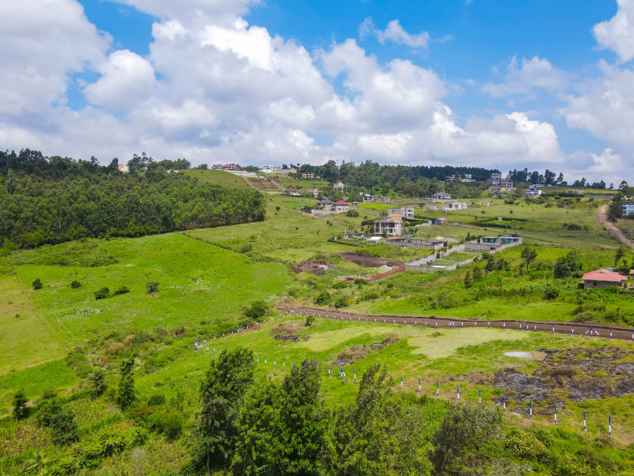 Affordable Ngong Plots for Sale | Ngong Kibiko Plots for Sale - Gallery Image